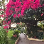 Vigia Jardim 招待所 滨海雅尔丁