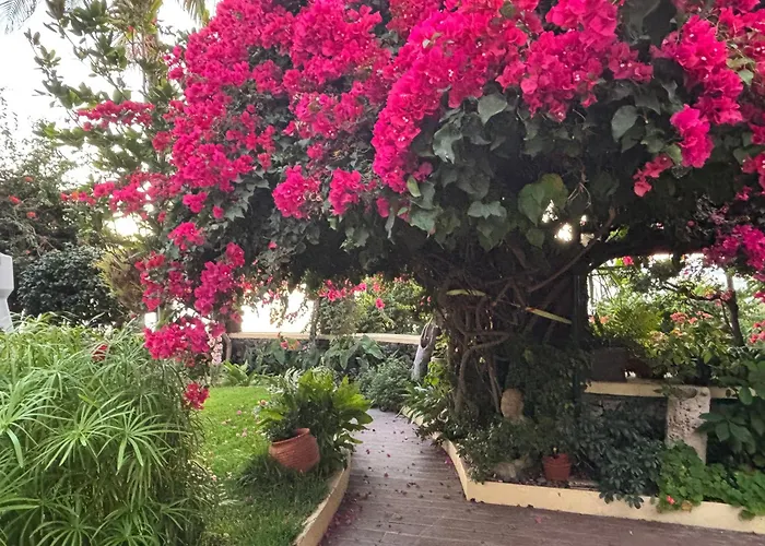 Vigia Jardim Pensjonat Jardim do Mar