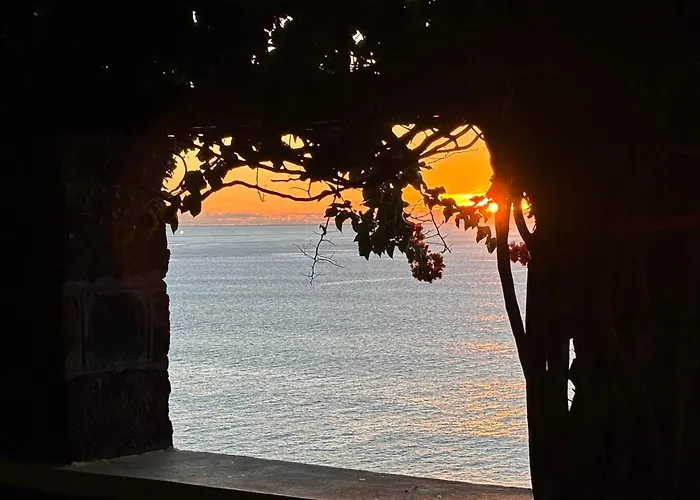 Gasthuis Vigia Jardim Jardim do Mar
