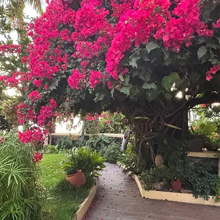 Vigia Jardim Gasthof Jardim do Mar