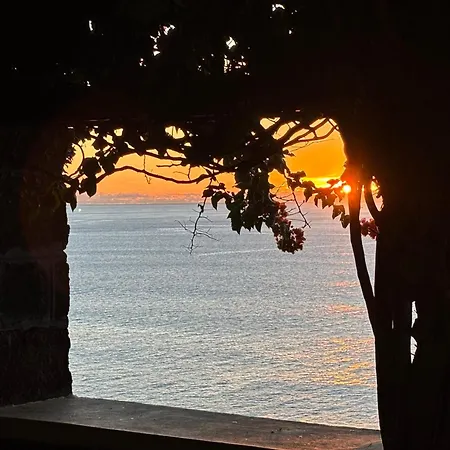 Gasthof Vigia Jardim Jardim do Mar