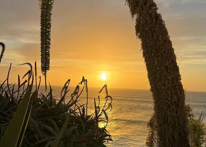 Pensionat Vigia Jardim 3*