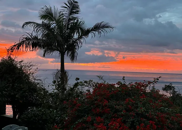 Vigia Jardim Жардин-ду-Мар