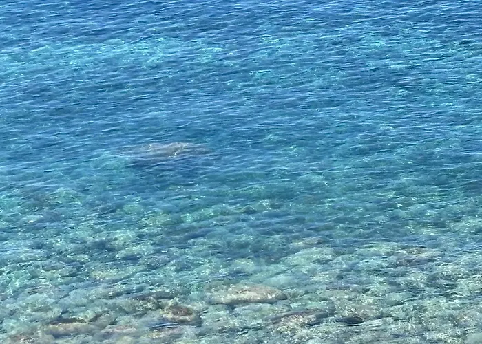 Vigia Jardim Жардин-ду-Мар